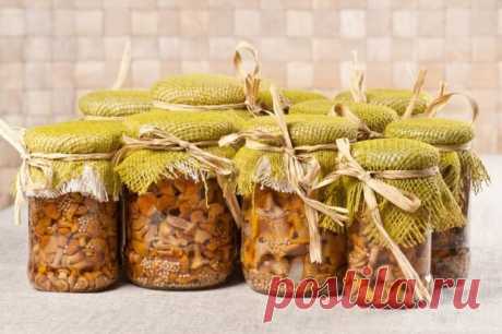 Лисички по-корейски на зиму — Домашние заботы