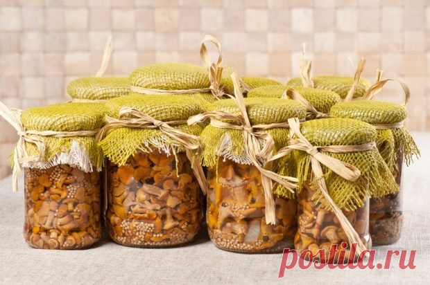 Лисички по-корейски на зиму — Домашние заботы