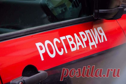 Росгвардейцы установили десять пособников ВСУ под Херсоном и в Запорожье. Росгвардейцы обнаружили украинский схрон с оружием и пособников Вооруженных сил Украины в Херсонской и Запорожской областях. Были изъяты охотничьи ружья, противотанковые управляемые ракеты «Фагот» и «Метис», гранатометы и выстрелы к ним, более 100 снарядов, осколочно-фугасные снаряды, мины, 40 ручных гранат.