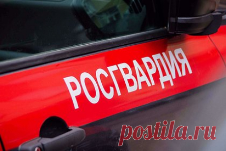 Росгвардейцы установили десять пособников ВСУ под Херсоном и в Запорожье. Росгвардейцы обнаружили украинский схрон с оружием и пособников Вооруженных сил Украины в Херсонской и Запорожской областях. Были изъяты охотничьи ружья, противотанковые управляемые ракеты «Фагот» и «Метис», гранатометы и выстрелы к ним, более 100 снарядов, осколочно-фугасные снаряды, мины, 40 ручных гранат.
