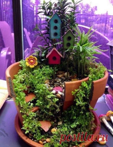 Мини-сад в горшке