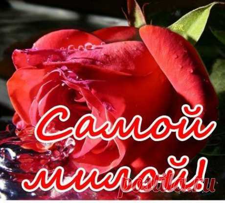 САМОЙ МИЛОЙ, ЛЮБИМОЙ!!!! :***
