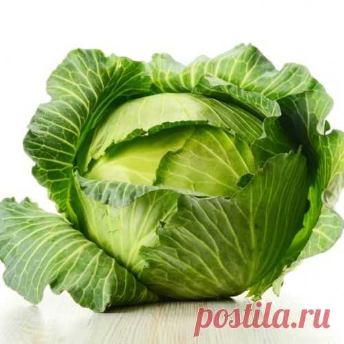 Какие овощи и когда удобрять