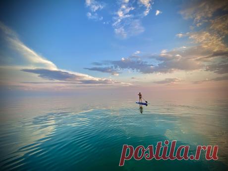 Close-Up Photographer of the Year 2020: мир насекомых на фото • Интерьер+Дизайн