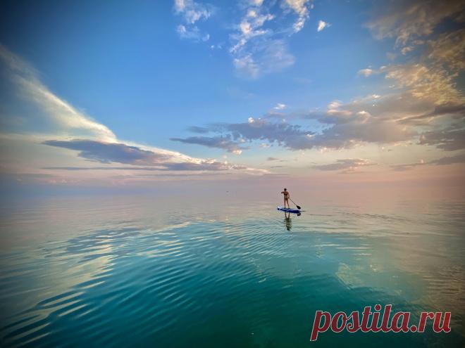 Close-Up Photographer of the Year 2020: мир насекомых на фото • Интерьер+Дизайн