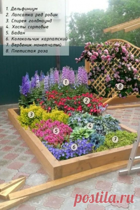 dT0a_uM4VZo.jpg (563×847)