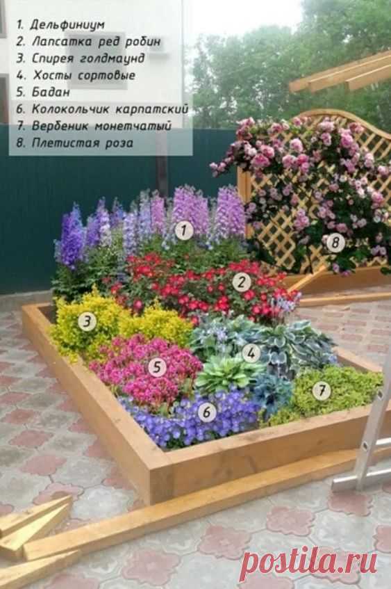 dT0a_uM4VZo.jpg (563×847)