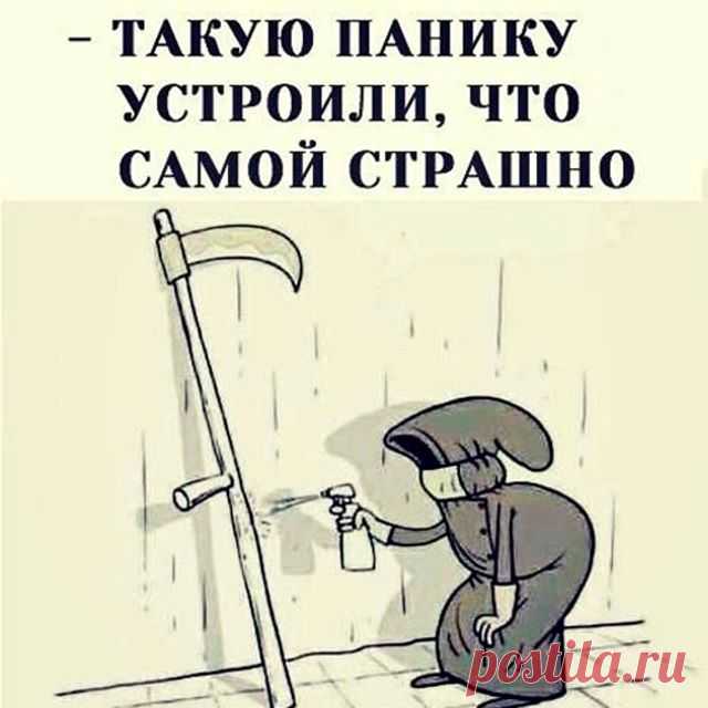Photo by VzorFalka on April 13, 2020. Image may contain: text that says '-такую панику устроили, что самой страшно'
