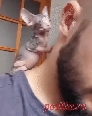 Одноклассники