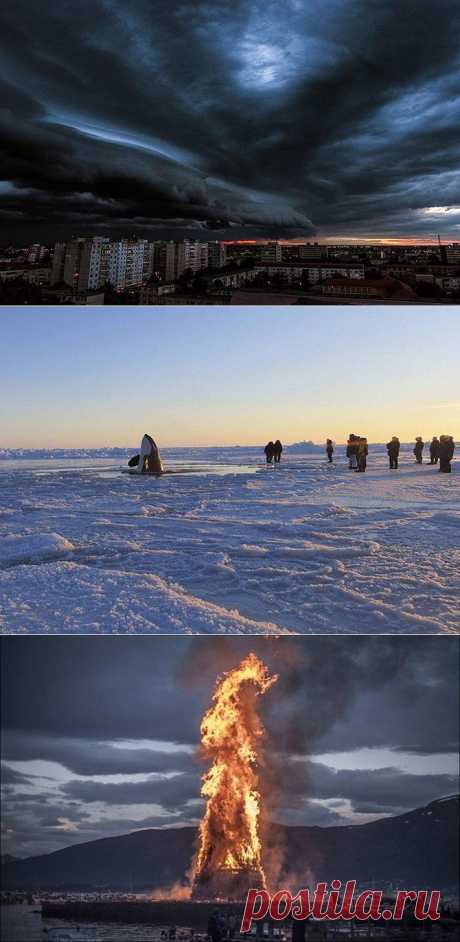 Это потрясло мир / Туристический спутник