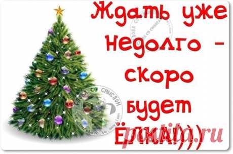 Прикольные фразочки в картинках про Наступающий Новый год