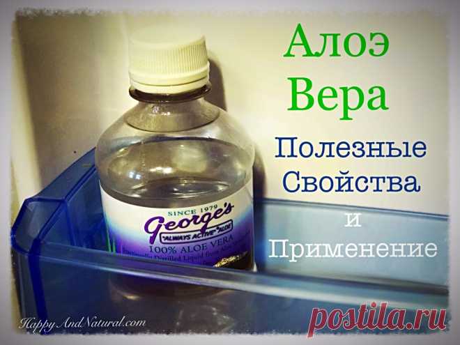 Алоэ Вера - полезные свойства и применение - Happy & Natural