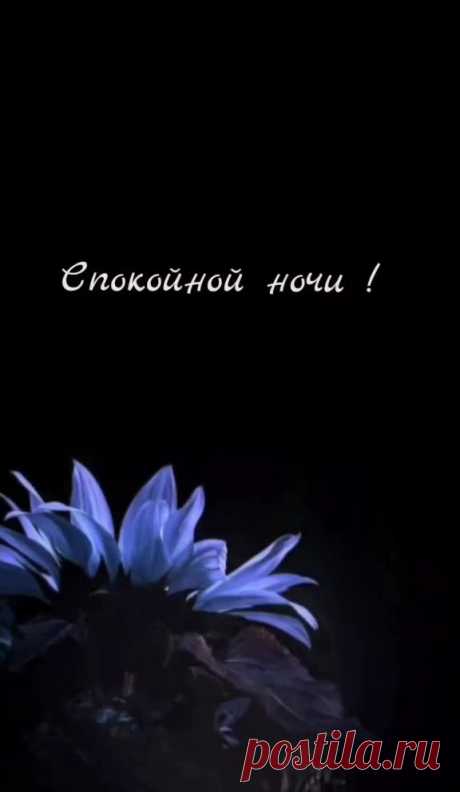 WAS A (@spor28) TikTok | Смотреть свежие видео WAS A в TikTok