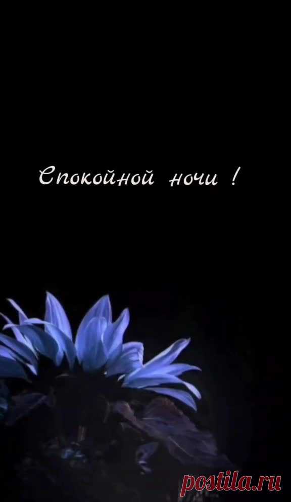 WAS A (@spor28) TikTok | Смотреть свежие видео WAS A в TikTok