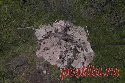 На Западе заявили о падении ракеты около центра НАТО в Польше. Ракета, обломки которой нашли в апреле у города Быдгощ в Польше, упала около учебного центра НАТО. По информации издания Wall Street Journal, ракета упала примерно в десяти милях (около 16 километров) от учебного центра альянса. Перед этим она пролетела над половиной польской территории.