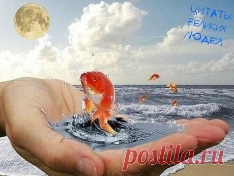 (59) Одноклассники
