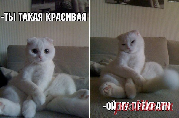 Красота - страшная сила!