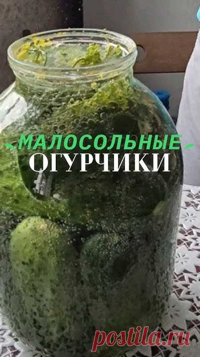 Малосольные огурчики на газированной водеНа дно банки укладываем зонтики укропа, черный горошек перец, 2-3 зубчика чеснока. Огурчики укладываем в 3 л. банку ...