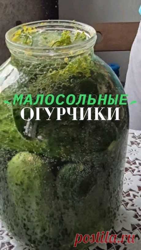 Малосольные огурчики на газированной водеНа дно банки укладываем зонтики укропа, черный горошек перец, 2-3 зубчика чеснока. Огурчики укладываем в 3 л. банку ...