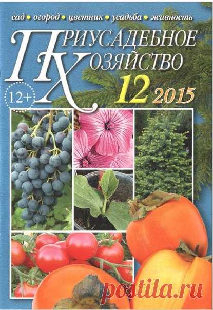 Мир журналов | ВКонтакте