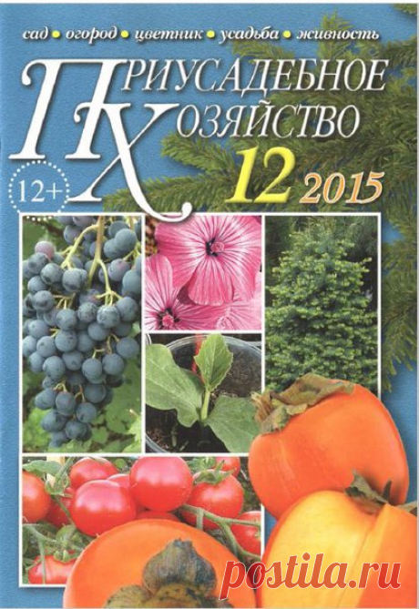 Мир журналов | ВКонтакте