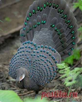 Мой Мир@Mail.Ru