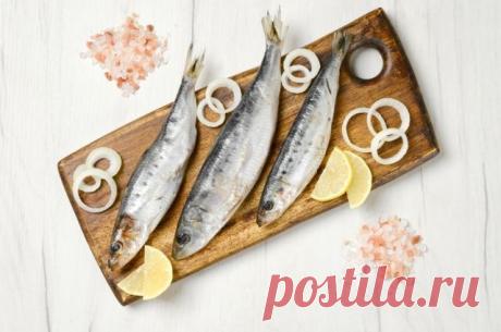 Лучшая закуска. Как засолить и замариновать кильку, скумбрию и сардины | Мастер-классы | Кухня | Аргументы и Факты