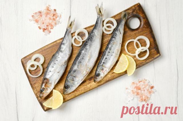 Лучшая закуска. Как засолить и замариновать кильку, скумбрию и сардины | Мастер-классы | Кухня | Аргументы и Факты