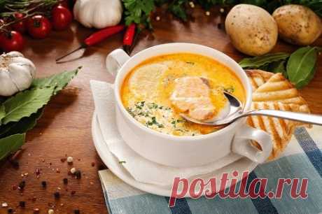 Рыбный суп из консервов горбуши – 7 вкусных рецептов с фото