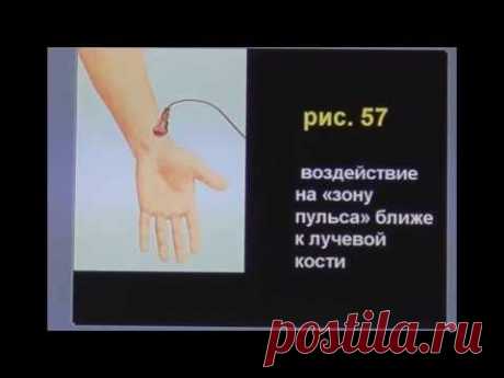 Лимфатическая система и ее роль в дезинтоксикации организма. Применение технологии BioTrEM.