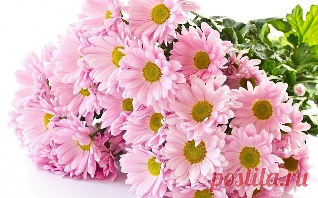 (80) Одноклассники