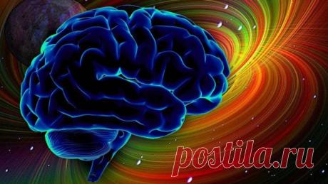 Безопасный разгон мозга, сохраняя его невредимым 











Есть миф, что мозг работает на 10%. На самом деле — всегда на сто. Но, если есть чувство, что именно у тебя все же на десять, причина может быть вовсе не в мозге, а в других органах, с кот…