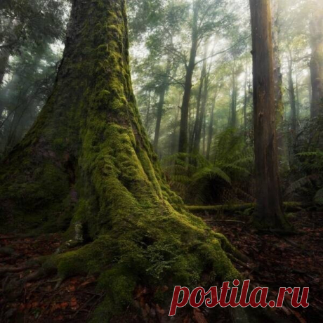 39 фотографий о том, насколько удивителен и разнообразен наш мир