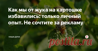 Как мы от жука на картошке избавились: только личный опыт. Не сочтите за рекламу В сельском магазинчике фабричной отравы не оказалось – у нас уже две недели царит жара, все инсектициды, что были в запасах, разлетелись в считанные дни, а новые пока не привезли. Народным средствам папа как-то не доверяет – хочется, чтобы один раз обработал участок – и забыл, а с народными средствами такое, вероятнее всего, не прокатит.  Порылся папа в собственных закромах, и нашел пузырек...