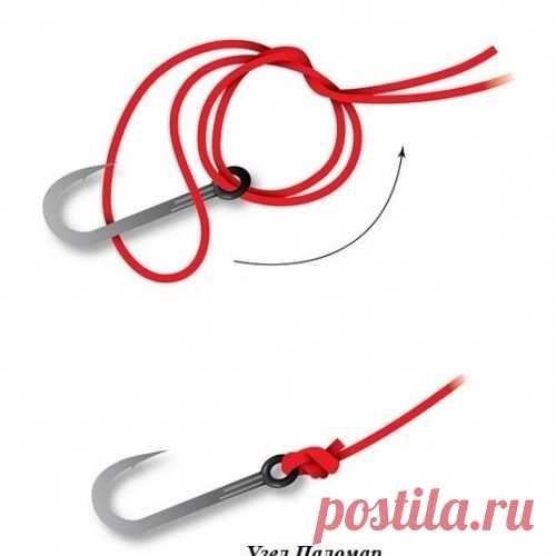 Популярные рыболовные узлы