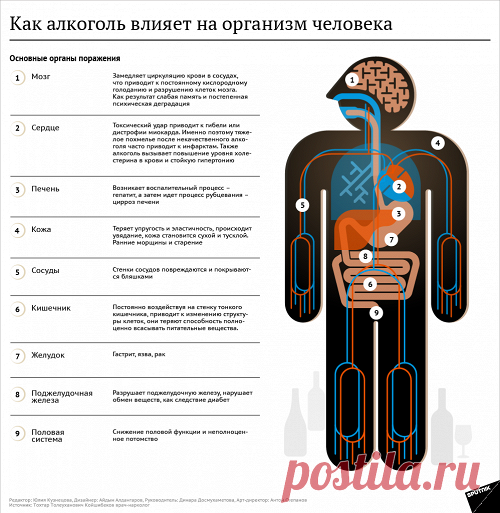 Как алкоголь влияет на организм человека — Рамблер/доктор