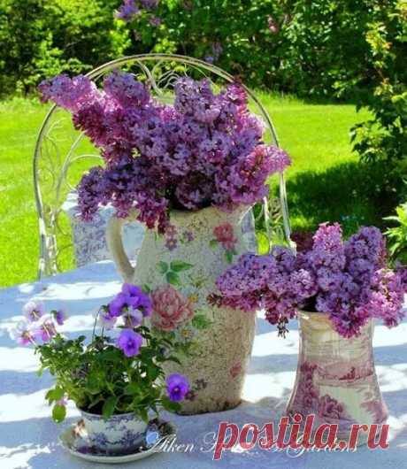 Karminha Sousa – Google+