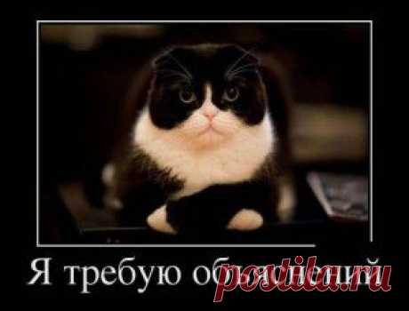я требую объяснений