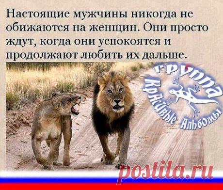 КрАсИвЫе АлЬбОмЫ-!!!. Добавлена фотография