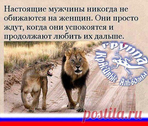 КрАсИвЫе АлЬбОмЫ-!!!. Добавлена фотография