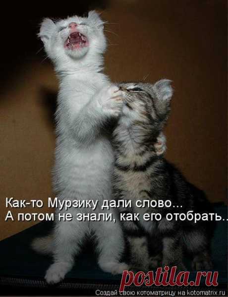 (15) Facebook