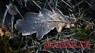 Синоптик Вильфанд: температура воздуха в Москве 10 ноября приблизится к норме. Научный руководитель Гидрометцентра России Роман Вильфанд предупредил, что с понедельника, 10 ноября, температура воздуха в Москве приблизится к климатической норме, понизившись на 6—7 °С. Читать далее