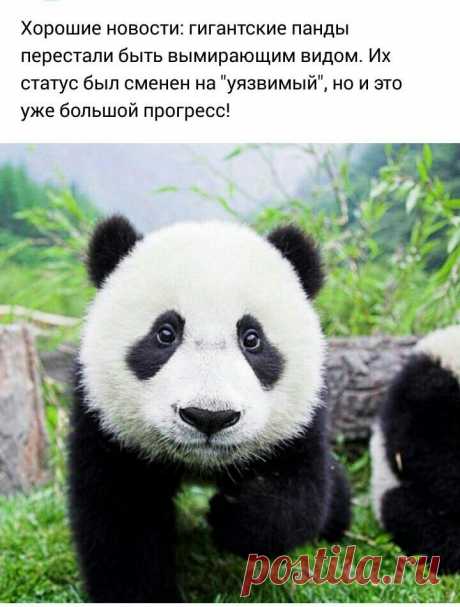 (29) Facebook
