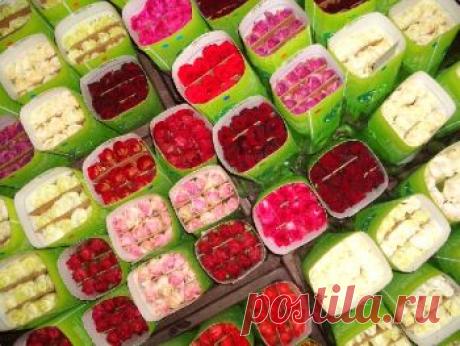 ВЫРАЩИВАНИЕ РОЗ ИЗ ЧЕРЕНКОВ СЕКРЕТНЫМ И БЫСТРЫМ СПОСОБОМ — В РИТМІ ЖИТТЯ