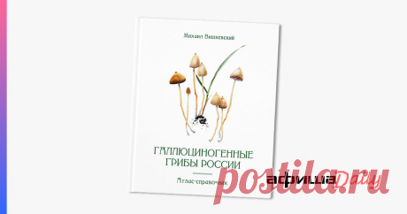 Ученый-миколог, популяризатор грибной кухни и устроитель ежегодного «Грибного фестиваля» в «Аптекарском огороде» Михаил Вишневский выпустил большой справочник «Галлюциногенные грибы России» — первый тираж ...