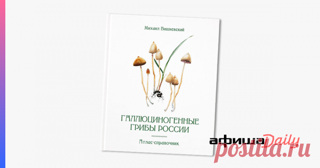 Ученый-миколог, популяризатор грибной кухни и устроитель ежегодного «Грибного фестиваля» в «Аптекарском огороде» Михаил Вишневский выпустил большой справочник «Галлюциногенные грибы России» — первый тираж ...