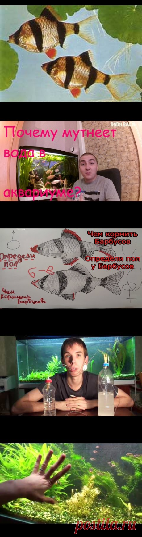 #16.1 Освещение для аквариума своими руками (Отражатели) - YouTube