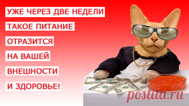 Это видео о пользе для здоровья и внешности пресноводной рыбы. Вы удивитесь, но рыбой можно не только лечиться, но и использовать ее наружно в косметических целях! Все знают, что рыба – один из самых полезных для человека продуктов. Она богата витаминами, микро- и макроэлементами, жирными кислотами, благоприятно влияющими на работу головного мозга и красоту кожи и волос. Пресноводная рыба, такая как щука, карп, сом, судак, плотва, карась - это чаще всего диетический продукт! А главное, она скоре