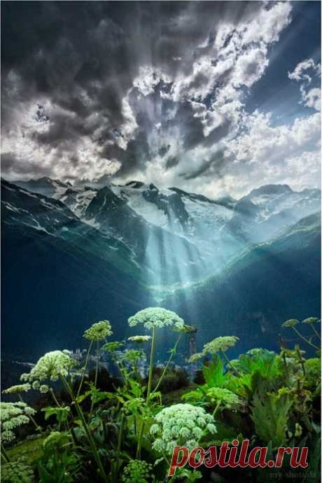 Belle nature