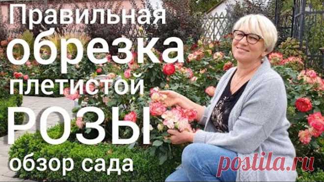 Лучшие МНОГОЛЕТНИКИ для сада . Правильная обрезка ПЛЕТИСТОЙ РОЗЫ + обзор КРАСИВОГО САДА .